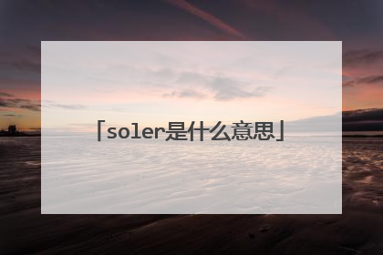 soler是什么意思