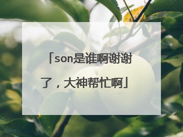 son是谁啊谢谢了,大神帮忙啊
