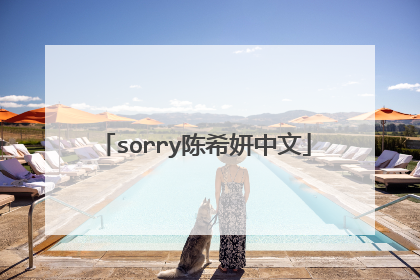 sorry陈希妍中文