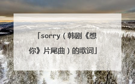 sorry（韩剧《想你》片尾曲）的歌词