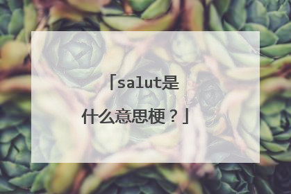 salut是什么意思梗？