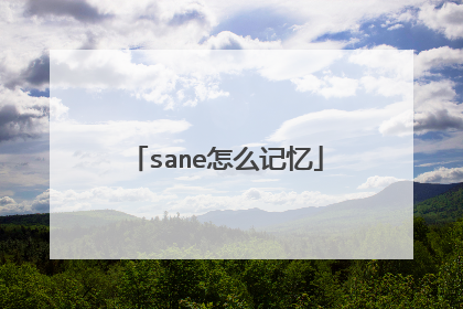 sane怎么记忆
