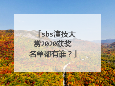 sbs演技大赏2020获奖名单都有谁?
