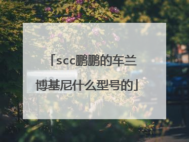scc鹏鹏的车兰博基尼什么型号的