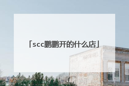 scc鹏鹏开的什么店