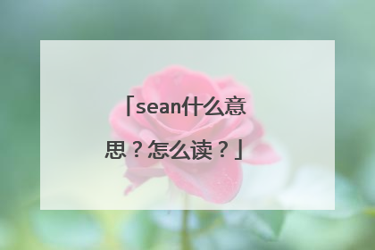 sean什么意思？怎么读？