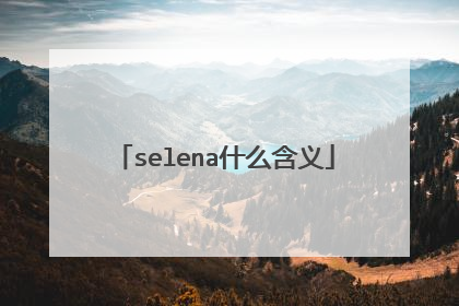 selena什么含义