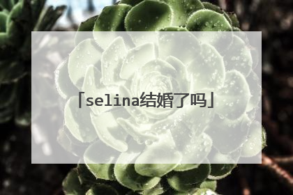 selina结婚了吗