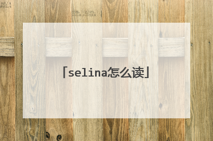 selina怎么读