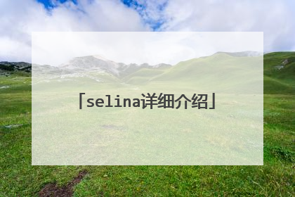 selina详细介绍