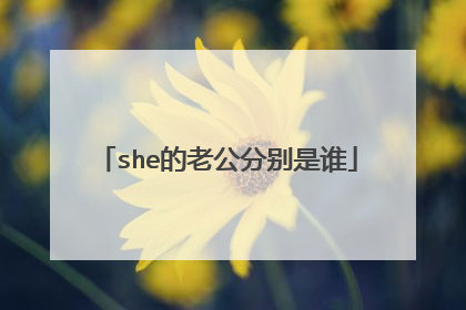 she的老公分别是谁