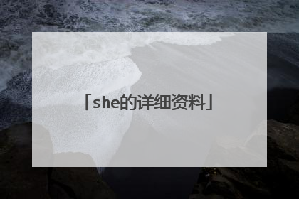 she的详细资料