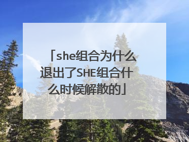 she组合为什么退出了SHE组合什么时候解散的