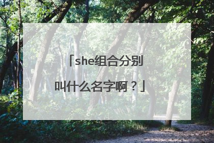 she组合分别叫什么名字啊?