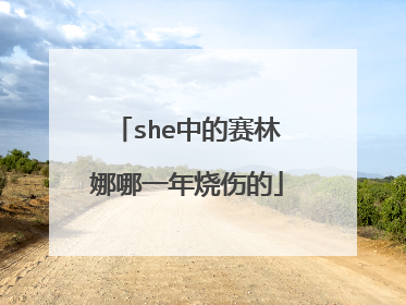 she中的赛林娜哪一年烧伤的