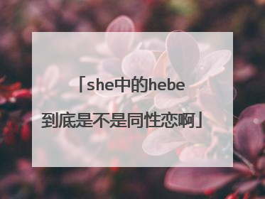 she中的hebe到底是不是同性恋啊