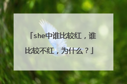 she中谁比较红，谁比较不红，为什么？