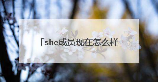 she成员现在怎么样了she为什么解散的