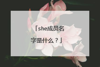 she成员名字是什么？