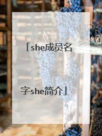 she成员名字she简介