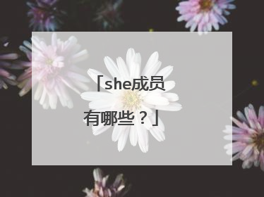 she成员有哪些？