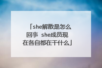 she解散是怎么回事 she成员现在各自都在干什么