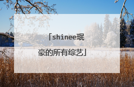 shinee珉豪的所有综艺
