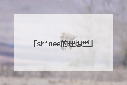 shinee的理想型