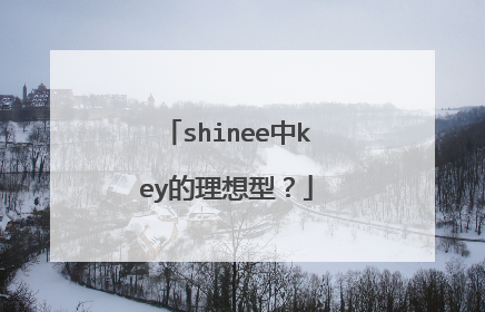 shinee中key的理想型？