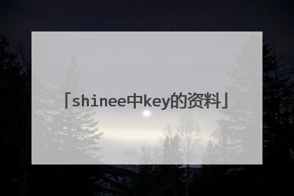 shinee中key的资料