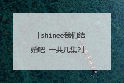 shinee我们结婚吧 一共几集?