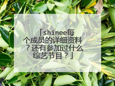 shinee每个成员的详细资料?还有参加过什么综艺节目?
