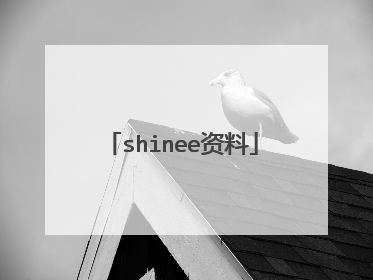shinee资料