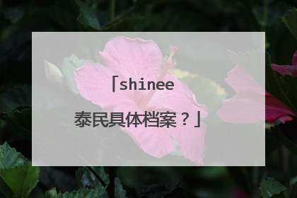 shinee 泰民具体档案?