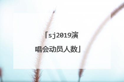 sj2019演唱会动员人数