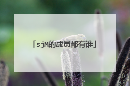 sjM的成员都有谁