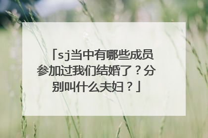 sj当中有哪些成员参加过我们结婚了？分别叫什么夫妇？