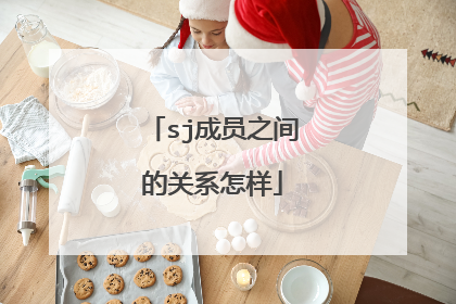 sj成员之间的关系怎样