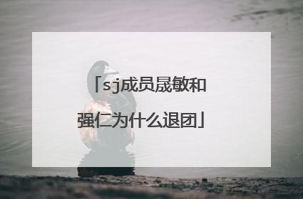 sj成员晟敏和强仁为什么退团