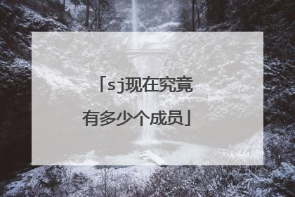 sj现在究竟有多少个成员