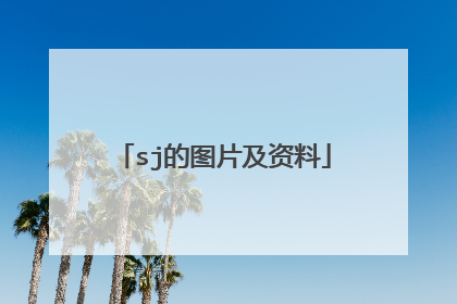 sj的图片及资料