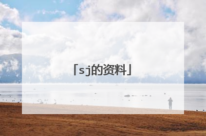 sj的资料