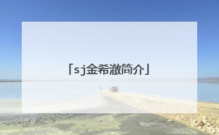 sj金希澈简介