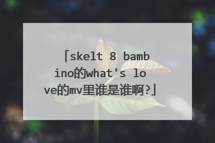 skelt 8 bambino的what's love的mv里谁是谁啊?