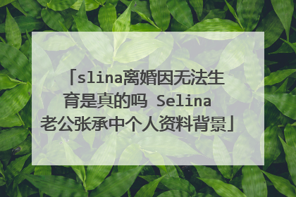 slina离婚因无法生育是真的吗 Selina老公张承中个人资料背景