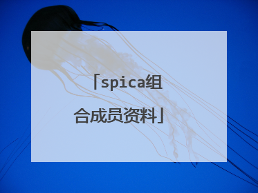 spica组合成员资料