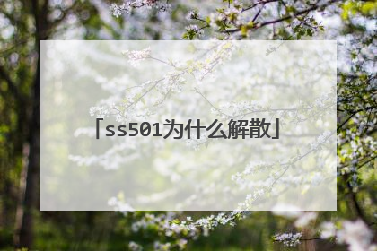 ss501为什么解散
