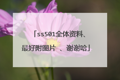 ss501全体资料、最好附图片 、谢谢哈