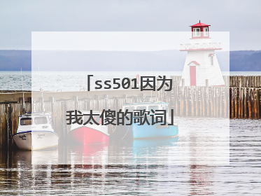 ss501因为我太傻的歌词