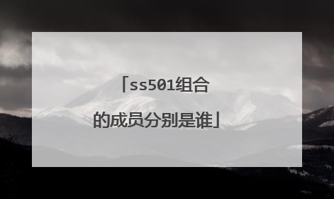 ss501组合的成员分别是谁